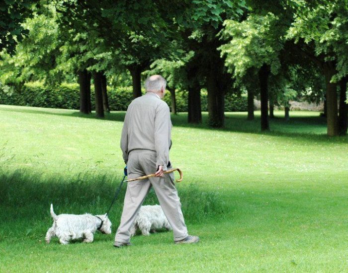Mobility Aids and Accessories Provider