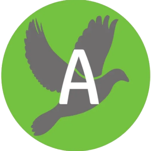 Mobility Aids and Accessories Provider